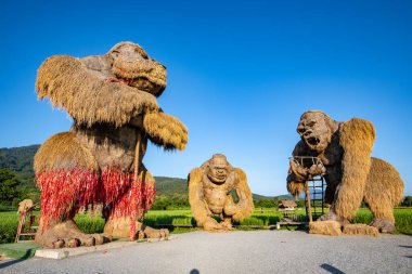 CHIANGMAI, THAILAND - September 17, 2019: King Kong straw puppets with rice field in Huay Tung Tao project, Chiangmai province.