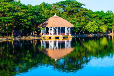 Chiang Mai 'deki Güzel Bina Gece Safarisi, Tayland.