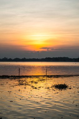 Sabah Kwan Phayao Gölü, Tayland.