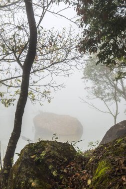 Tayland 'da sisli göl manzarası.