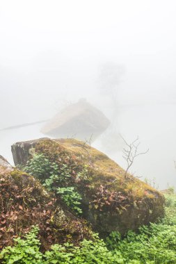 Tayland 'da sisli göl manzarası.