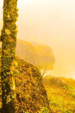 Tayland 'da sisli göl manzarası.