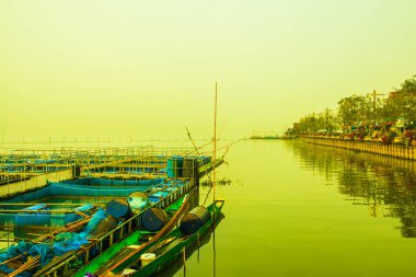 Kwan Phayao Gölü kış mevsiminde, Tayland.