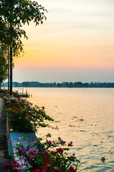 Kwan Phayao Gölü kış mevsiminde, Tayland.