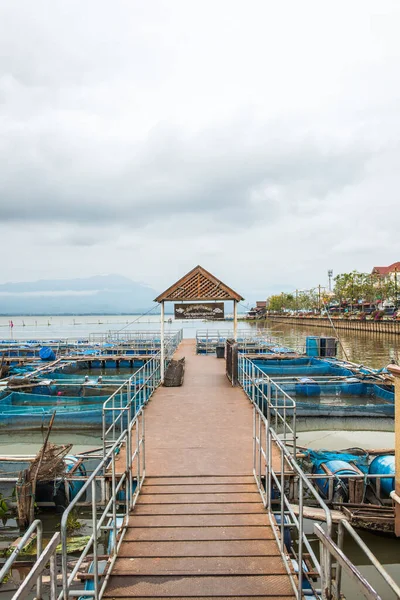 Viskooi Kwan Phayao Lake Thailand — Stockfoto