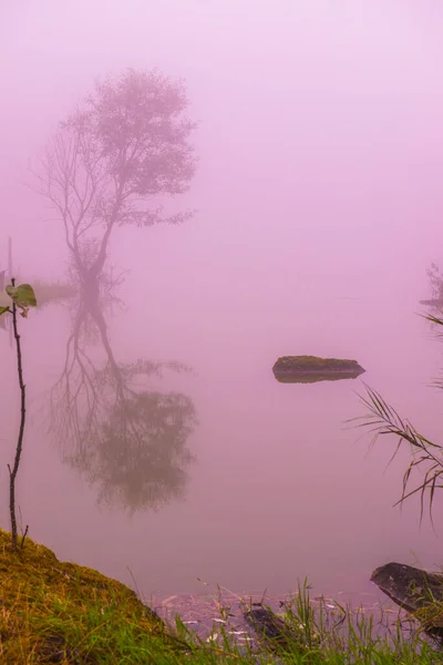 Θέα Στη Λίμνη Ομίχλη Στην Ταϊλάνδη Ταϊλάνδη — Φωτογραφία Αρχείου
