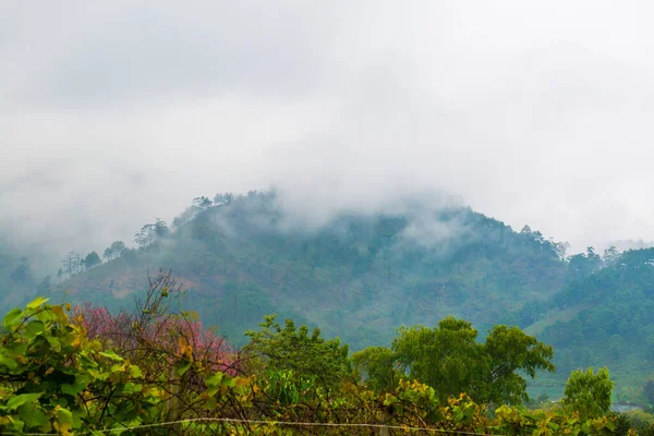 Widok Góry Tajlandii Tajlandia — Zdjęcie stockowe