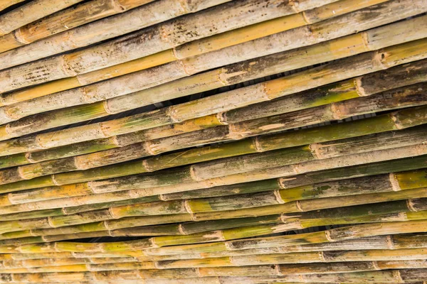 Bambu För Dekoration Thailand — Stockfoto