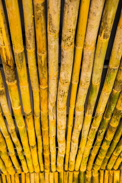 Bambu Para Decoração Tailândia — Fotografia de Stock