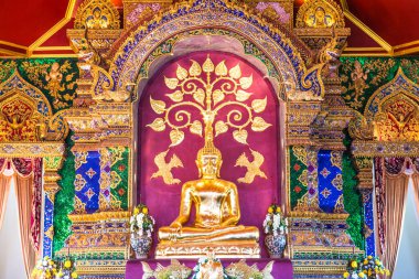 Prayodkhunpol 'deki güzel Buda heykeli Wiang Kalong Tapınağı, Tayland.