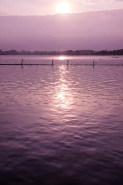 Kwan Phayao Gölü 'nde gün doğumu, Tayland.