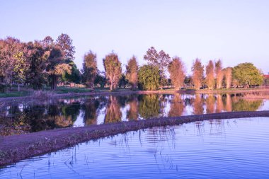 Ağaçlar ve göl, güneş ışığı, Tayland.