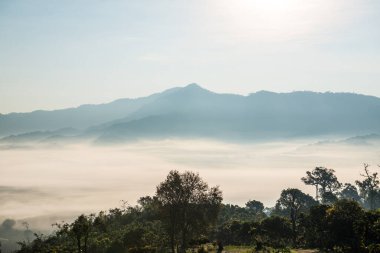 Phu Langka Ulusal Parkı, Tayland Güzel Dağ Manzarası.