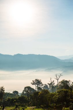 Phu Langka Ulusal Parkı, Tayland Güzel Dağ Manzarası.