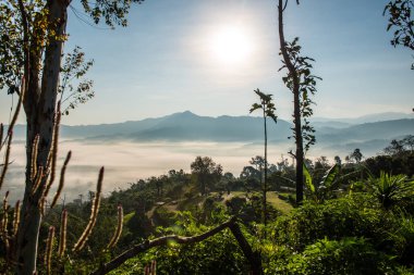 Phu Langka Ulusal Parkı, Tayland Güzel Dağ Manzarası.