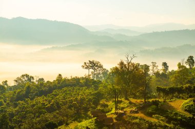 Phu Langka Ulusal Parkı, Tayland Güzel Dağ Manzarası.