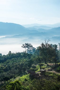 Phu Langka Ulusal Parkı, Tayland Güzel Dağ Manzarası.