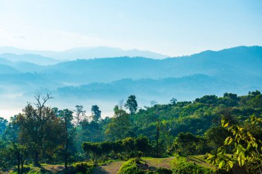 Phu Langka Ulusal Parkı, Tayland Güzel Dağ Manzarası.