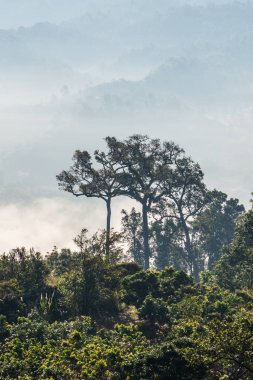 Phu Langka Ulusal Parkı, Tayland Güzel Dağ Manzarası.