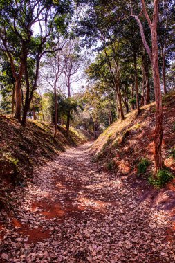 Wieng Kalong 'un hendeği antik şehir, Tayland.