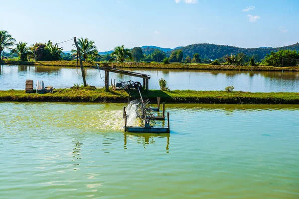 Garnelenfarm Thailand — Stockfoto