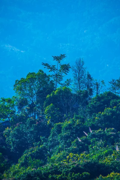 Gyönyörű Mountain View Phu Langka Nemzeti Park Thaiföld — Stock Fotó