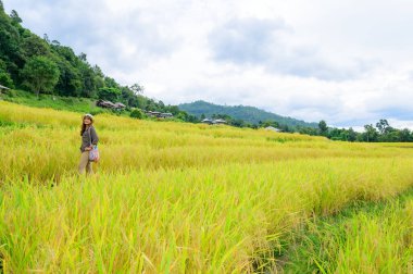 Asian Woman with Pa Bong Piang Rice Terraces at Chiang Mai Province, Thailand.