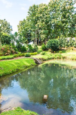 Tayland, Samoeng bölgesinde halka açık bir park..