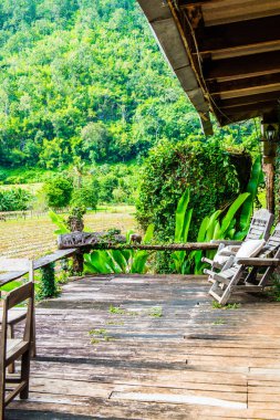 Tayland 'ın Chiangmai şehrinde Tayland tarzı teras..
