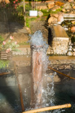 Chiang Rai, Wiang Pa Pao bölgesindeki kaplıcalarda..