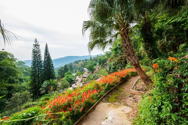 Park at Doi Pui Mong hill tribe village, Chiang Mai province.
