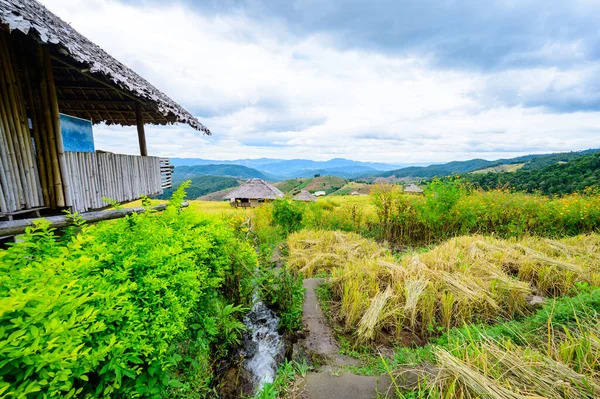 stock image Pa Bong Piang Rice Terraces at Chiang Mai Province, Thailand.