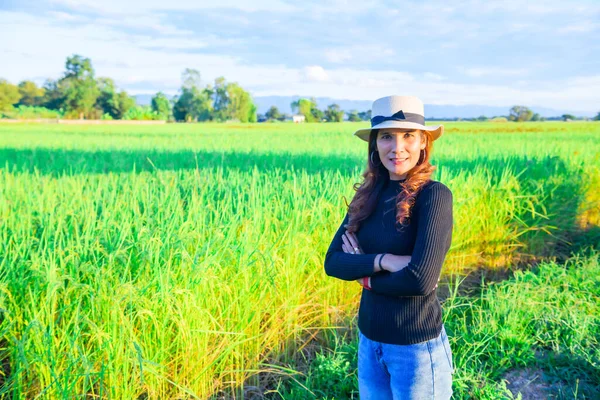 Thai Female Rice Field Background Phayao Province — стокове фото