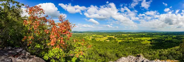 Panorama View Pha Hua Reua Cliff Mountain View Phayao Province — 스톡 사진
