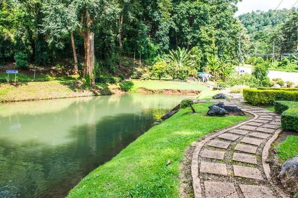 stock image Public park at Samoeng district, Thailand.