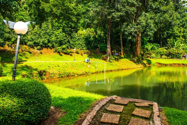 Parque Público Distrito Samoeng Tailândia — Fotografia de Stock