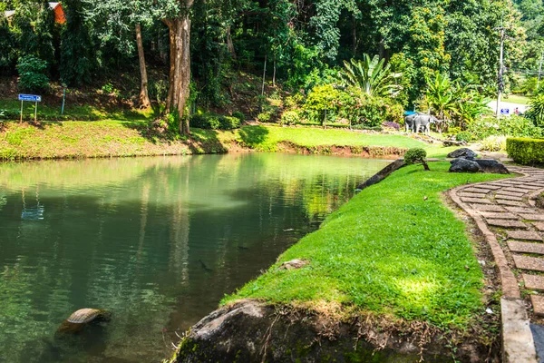 Parc Public District Samoeng Thaïlande — Photo