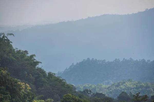Tropisch Regenwoud Met Mist Thai Thailand — Stockfoto