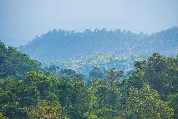 Selva Tropical Con Niebla Tailandia —  Fotos de Stock