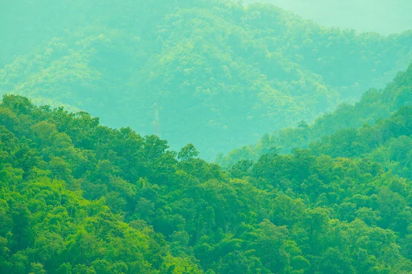 Тропічні Ліси Туманом Таїланді — стокове фото