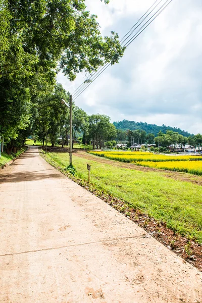 Pequena Estrada Estação Agrícola Real Pangda Tailândia — Fotografia de Stock