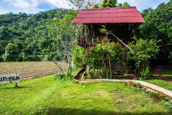 stock image Thai native house in Chiangmai city, Thailand.