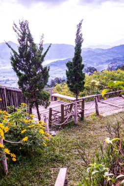 Phu Langka Ulusal Parkı, Tayland.