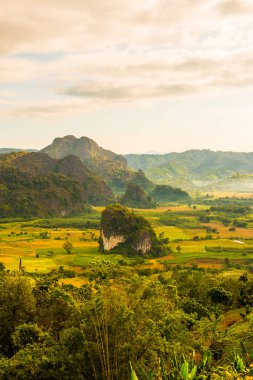 Phu Langka Ulusal Parkı, Tayland Güzel Dağ Manzarası.