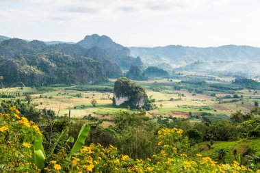 Phu Langka Ulusal Parkı, Tayland Güzel Dağ Manzarası.