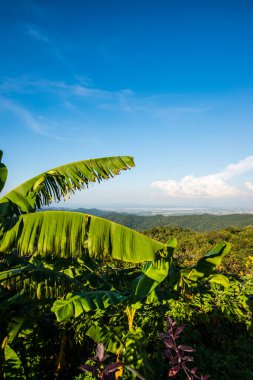 Kwan Phayao Gölü, Tayland.