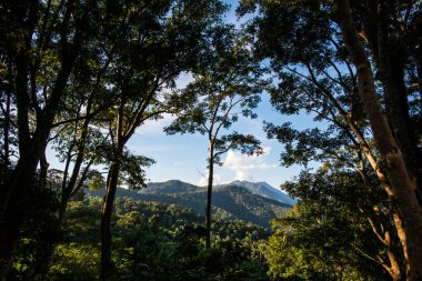 Tayland 'ın Phayao eyaletinde dağ manzarası.