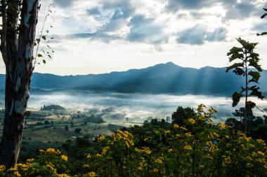 Phu Langka Ulusal Parkı, Tayland Güzel Dağ Manzarası.