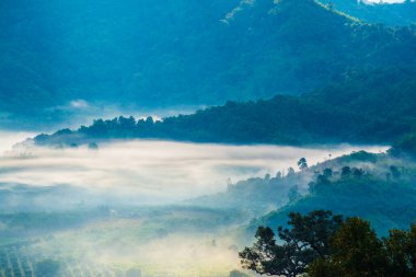 Phu Langka Ulusal Parkı, Tayland Güzel Dağ Manzarası.