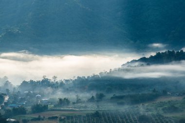Phu Langka Ulusal Parkı, Tayland Güzel Dağ Manzarası.